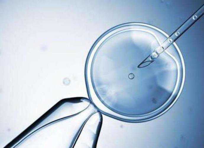 贵阳最佳代孕公司,北京试管婴儿医院哪家好 胚胎移植后休息时间越长越好吗