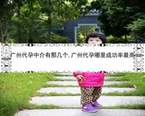 广州去找代孕靠谱吗|03265_健康周刊地贫父母可孕育健